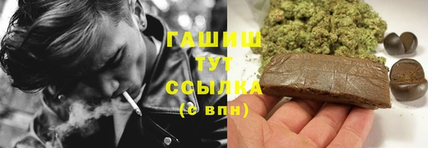 гидра Алексеевка