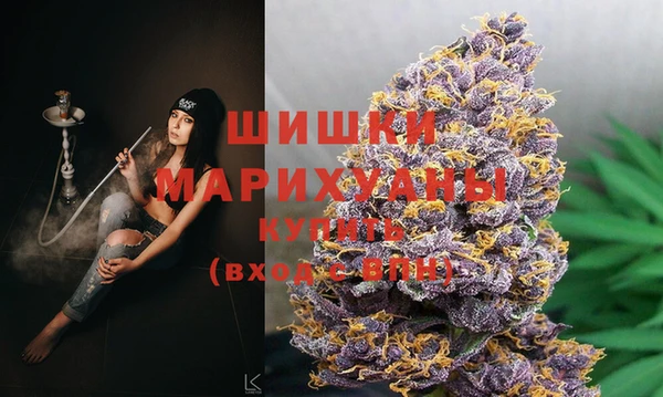 дурь Гусиноозёрск