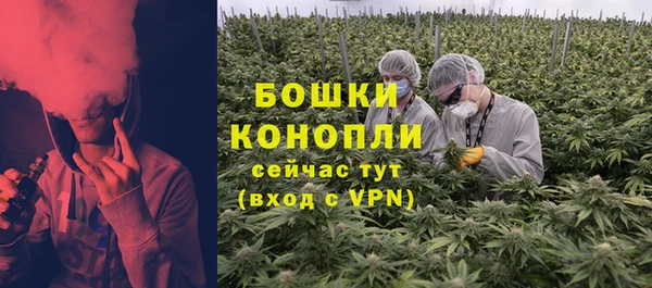 гидра Алексеевка