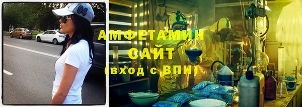 гидра Алексеевка