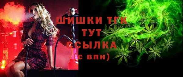 гидра Алексеевка