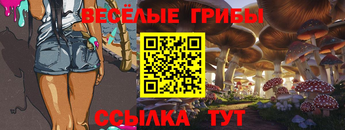 Дзержинский  Псилоцибиновые грибы Psilocybe  Вход с VPN 